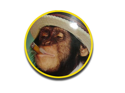 another monkey